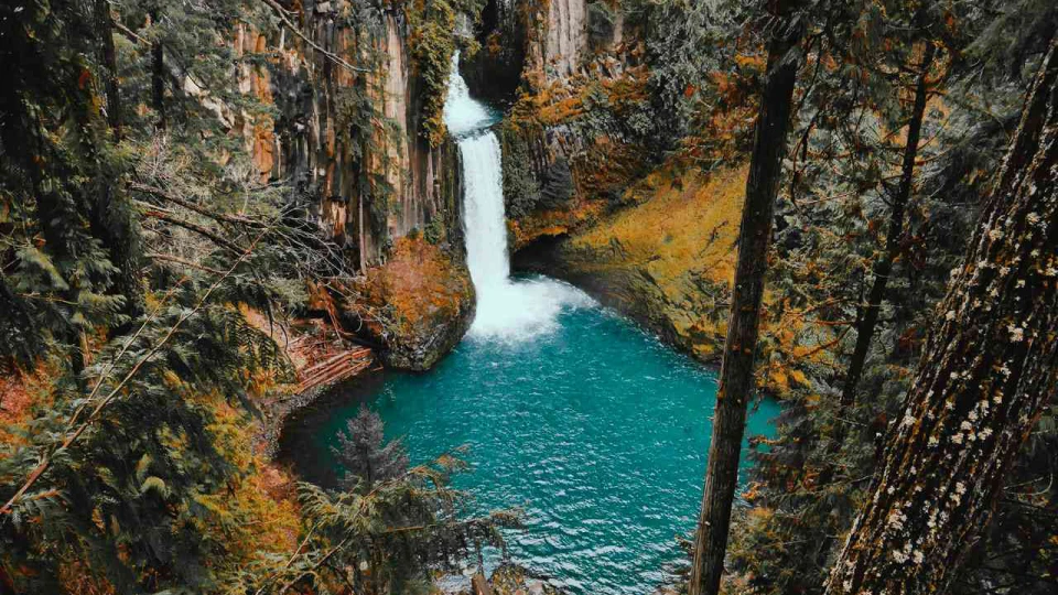 gauda-fresh-water-swim